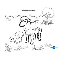 着色页: 羊肉 (动物) #225 - 免费可打印着色页