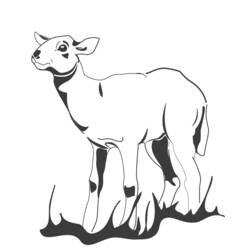 着色页: 羊肉 (动物) #245 - 免费可打印着色页