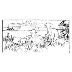 着色页: 羊肉 (动物) #269 - 免费可打印着色页