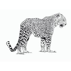着色页: 豹 (动物) #9704 - 免费可打印着色页