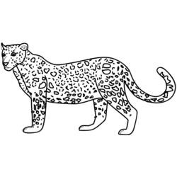 着色页: 豹 (动物) #9705 - 免费可打印着色页
