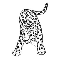着色页: 豹 (动物) #9707 - 免费可打印着色页