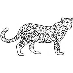 着色页: 豹 (动物) #9710 - 免费可打印着色页