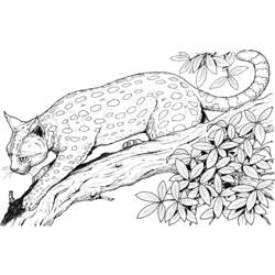 着色页: 豹 (动物) #9717 - 免费可打印着色页