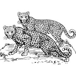 着色页: 豹 (动物) #9724 - 免费可打印着色页