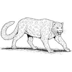 着色页: 豹 (动物) #9730 - 免费可打印着色页