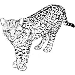 着色页: 豹 (动物) #9732 - 免费可打印着色页