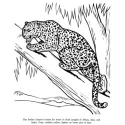 着色页: 豹 (动物) #9748 - 免费可打印着色页