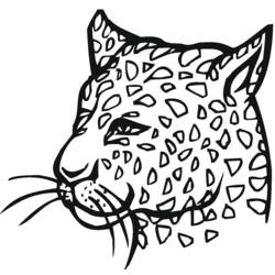 着色页: 豹 (动物) #9751 - 免费可打印着色页
