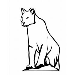 着色页: 豹 (动物) #9756 - 免费可打印着色页