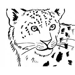 着色页: 豹 (动物) #9759 - 免费可打印着色页