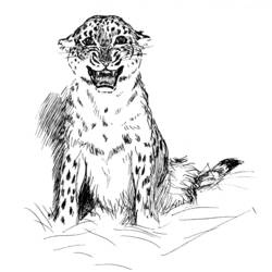 着色页: 豹 (动物) #9761 - 免费可打印着色页