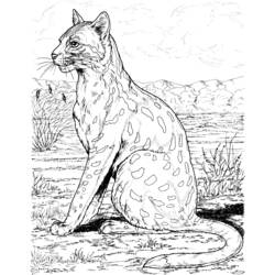 着色页: 豹 (动物) #9771 - 免费可打印着色页