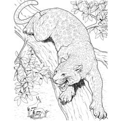 着色页: 豹 (动物) #9775 - 免费可打印着色页