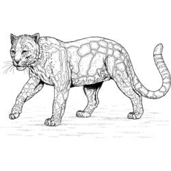 着色页: 豹 (动物) #9780 - 免费可打印着色页