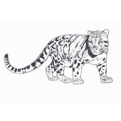 着色页: 豹 (动物) #9787 - 免费可打印着色页