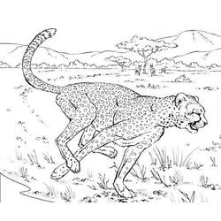 着色页: 豹 (动物) #9798 - 免费可打印着色页