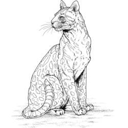 着色页: 豹 (动物) #9806 - 免费可打印着色页