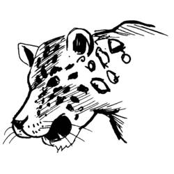 着色页: 豹 (动物) #9807 - 免费可打印着色页