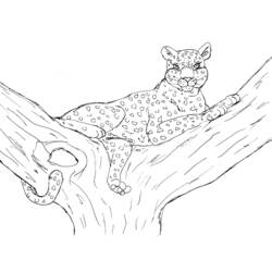 着色页: 豹 (动物) #9810 - 免费可打印着色页