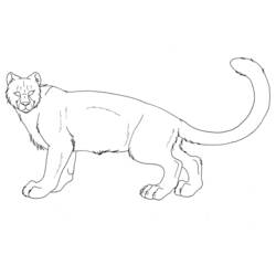 着色页: 豹 (动物) #9812 - 免费可打印着色页