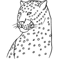着色页: 豹 (动物) #9814 - 免费可打印着色页