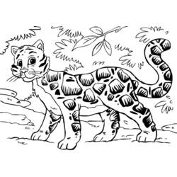 着色页: 豹 (动物) #9849 - 免费可打印着色页