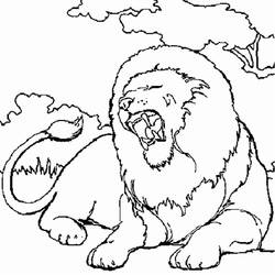 着色页: 狮子 (动物) #10251 - 免费可打印着色页