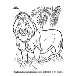 着色页: 狮子 (动物) #10252 - 免费可打印着色页