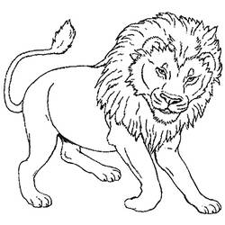 着色页: 狮子 (动物) #10270 - 免费可打印着色页