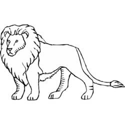 着色页: 狮子 (动物) #10292 - 免费可打印着色页