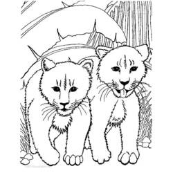 着色页: 狮子 (动物) #10296 - 免费可打印着色页