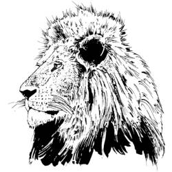 着色页: 狮子 (动物) #10316 - 免费可打印着色页