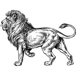着色页: 狮子 (动物) #10318 - 免费可打印着色页