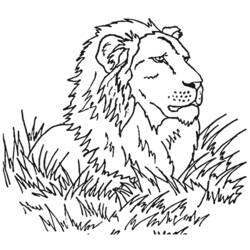 着色页: 狮子 (动物) #10349 - 免费可打印着色页