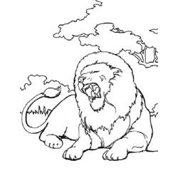 着色页: 狮子 (动物) #10360 - 免费可打印着色页