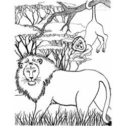 着色页: 狮子 (动物) #10368 - 免费可打印着色页