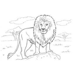 着色页: 狮子 (动物) #10379 - 免费可打印着色页