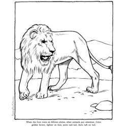 着色页: 狮子 (动物) #10399 - 免费可打印着色页