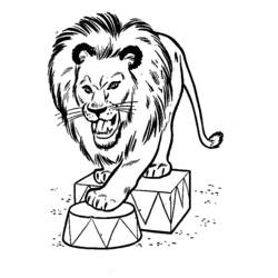 着色页: 狮子 (动物) #10406 - 免费可打印着色页