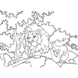 着色页: 狮子 (动物) #10418 - 免费可打印着色页