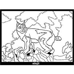 着色页: 山猫 (动物) #10814 - 免费可打印着色页