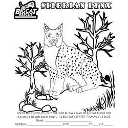 着色页: 山猫 (动物) #10848 - 免费可打印着色页
