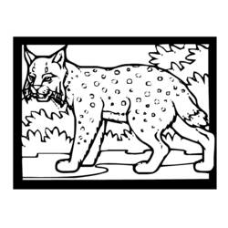 着色页: 山猫 (动物) #10851 - 免费可打印着色页