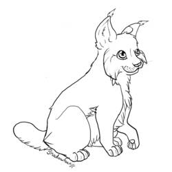着色页: 山猫 (动物) #10868 - 免费可打印着色页