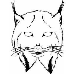 着色页: 山猫 (动物) #10873 - 免费可打印着色页