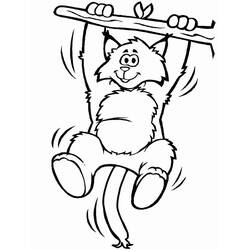 着色页: 猞猁 (动物) #189233 - 免费可打印着色页