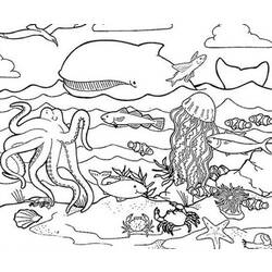 着色页: 海洋生物 (动物) #21989 - 免费可打印着色页