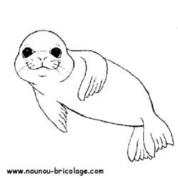 着色页: 海洋生物 (动物) #21994 - 免费可打印着色页
