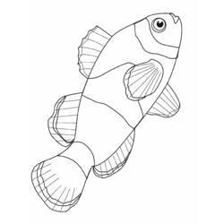 着色页: 海洋生物 (动物) #22016 - 免费可打印着色页
